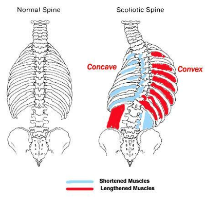 Screenshot%202026-01-30%20144419 Screenshot%202026-01-30%20144419